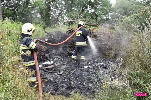 Pożar pomiędzy Dzierżoniowem a Pieszycami