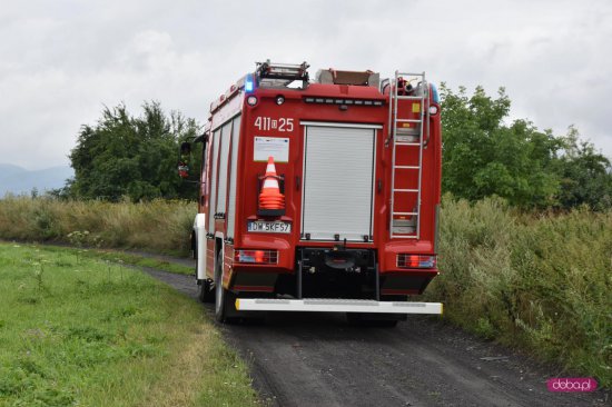 Pożar pomiędzy Dzierżoniowem a Pieszycami