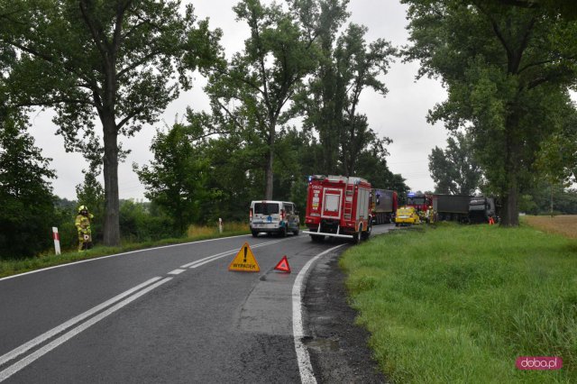 Ciężarówka wypadła z drogi Strzelin - Łagiewniki 