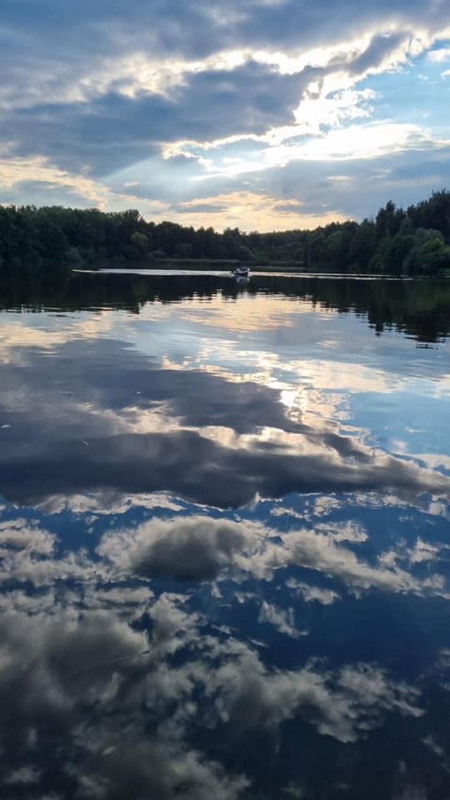 Czy ścieki z gospodarstw domowych były przyczyną zatrucia ryb w Stawie Trzcinowym?