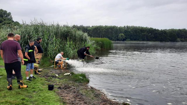 Czy ścieki z gospodarstw domowych były przyczyną zatrucia ryb w Stawie Trzcinowym?