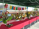 Łagiewniki: konkurs pod nazwą Kolorowo Mi 