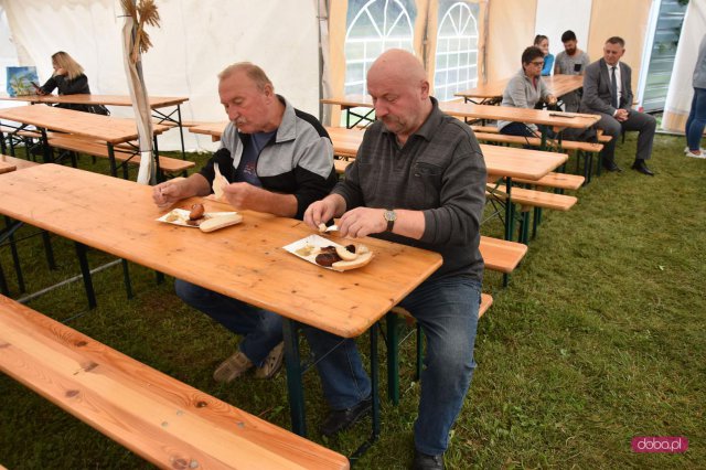 Dożynki w Podlesiu