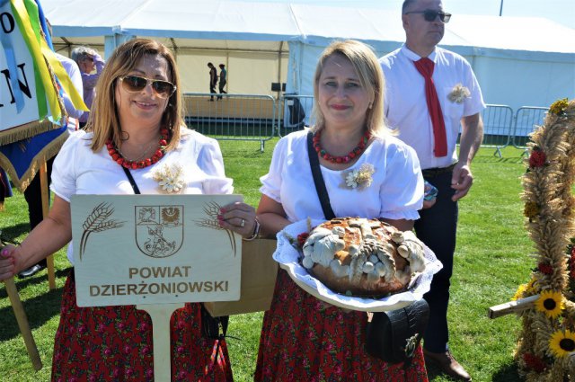 dożynki wojewódzkie