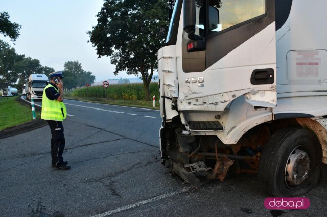 Śmiertelny wypadek na DK-8 przed Niemczą