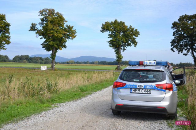 Zdarzenie drogowe w Nowiźnie
