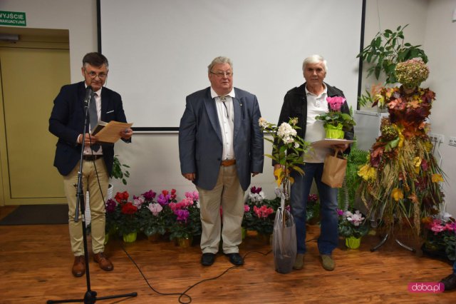 Coraz piękniejsze ogródki, skwery i balkony w Dzierżoniowie