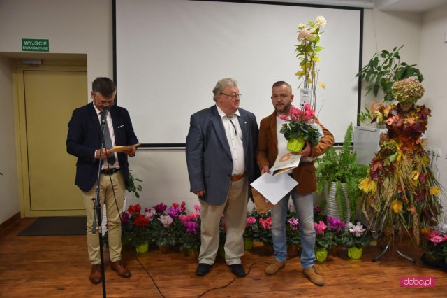Coraz piękniejsze ogródki, skwery i balkony w Dzierżoniowie
