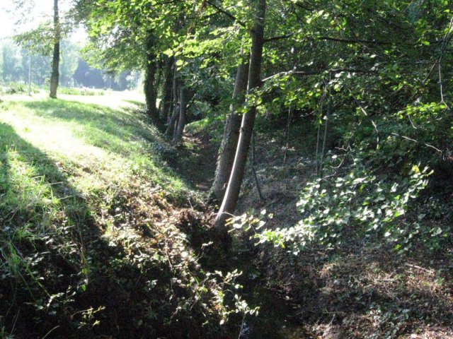 Prace melioracyjne w niemczańskich rowach