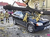 O krok od tragedii! Ogromne drzewo runęło na samochód!