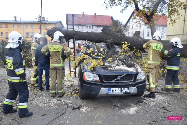 O krok od tragedii! Ogromne drzewo runęło na samochód!