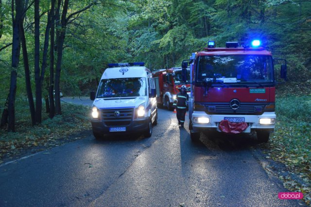 Wypadek na drodze Wolibórz - Jodłownik