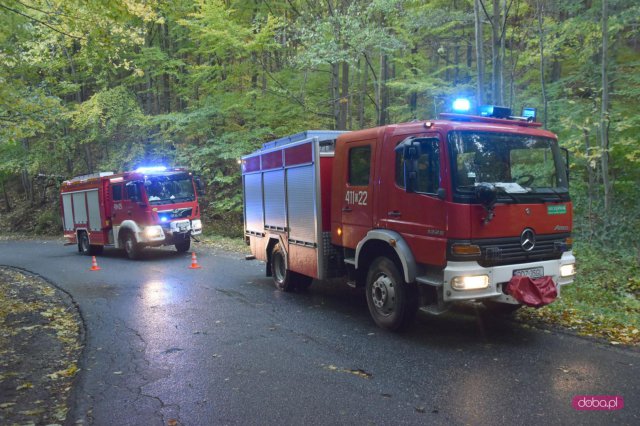 Wypadek na drodze Wolibórz - Jodłownik