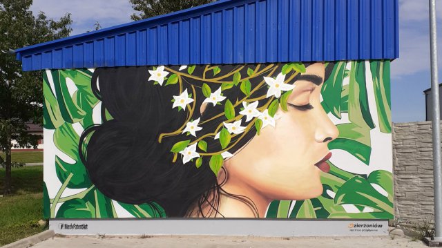 Tegoroczne murale Dzierżoniowa zachwycają 