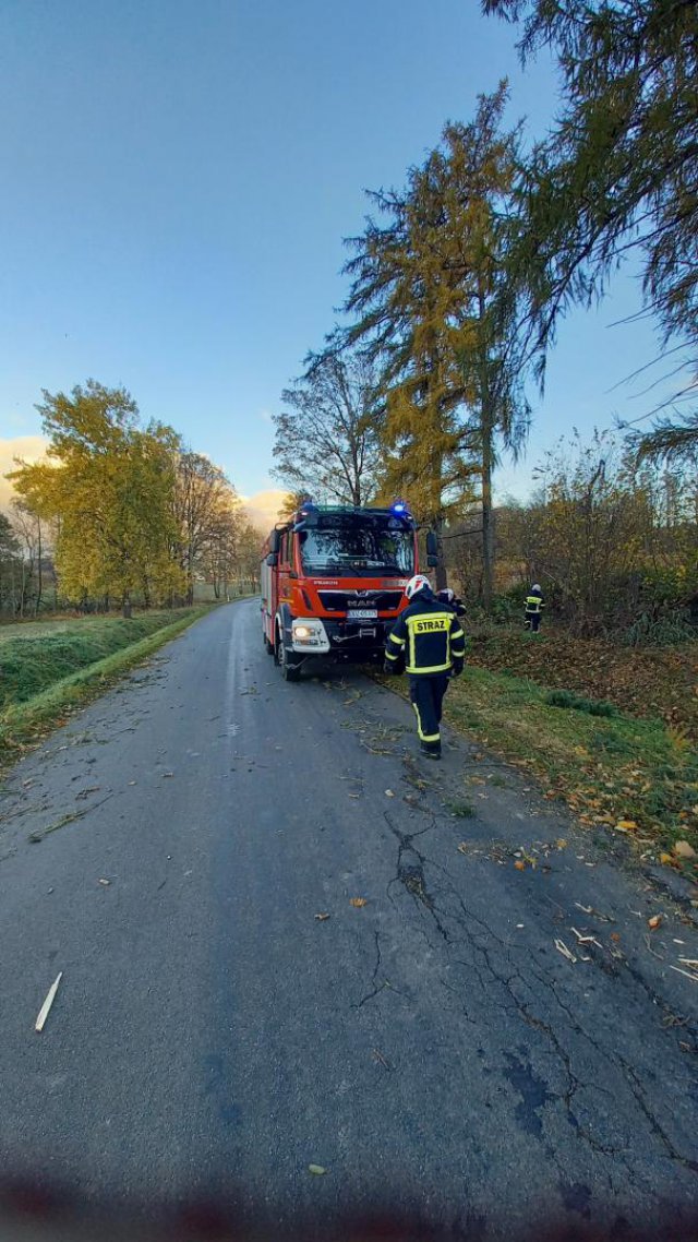 Straż pożarna z Otroszowic usuwał skutki silnych wiatrów