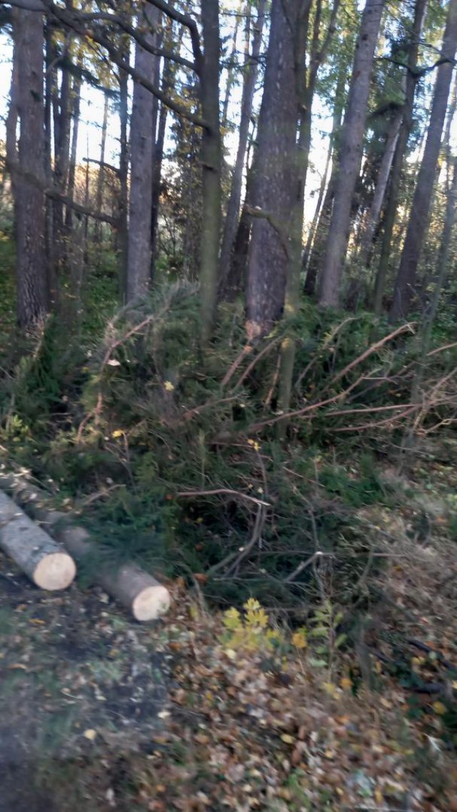 Straż pożarna z Otroszowic usuwał skutki silnych wiatrów