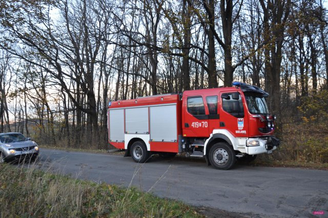 Powalone drzewo na drodze Myśliszów - Kielice