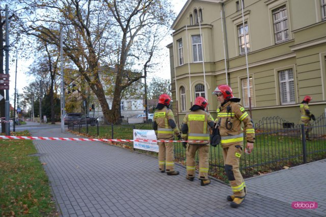 Straż pożarna wezwana do pomnika przyrody