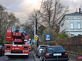 Straż pożarna wezwana do pomnika przyrody