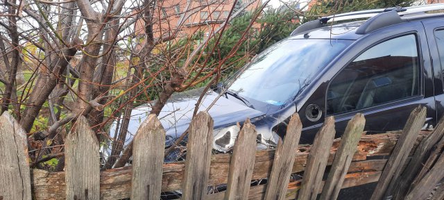 Dacią wjechał w ogrodzenie