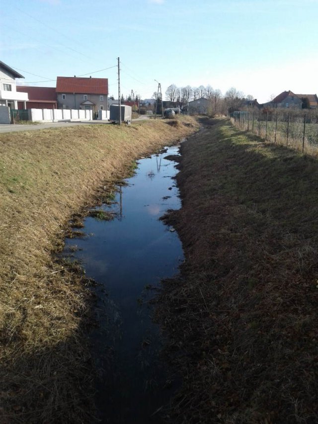 Rzeka Piława przeszła konserwację