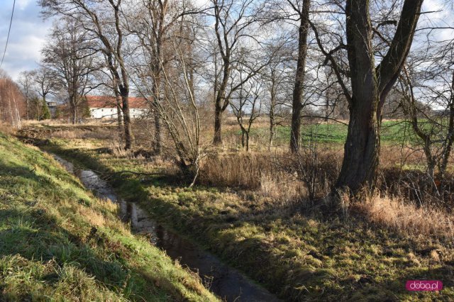 Włóki zwiększają ochronę przeciwpowodziową