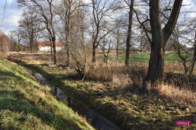 Włóki zwiększają ochronę przeciwpowodziową