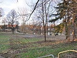 W Niemczy powstanie park