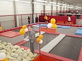 Aktywne Ferie w Parku Trampolin Jump 4U Dzierżoniów