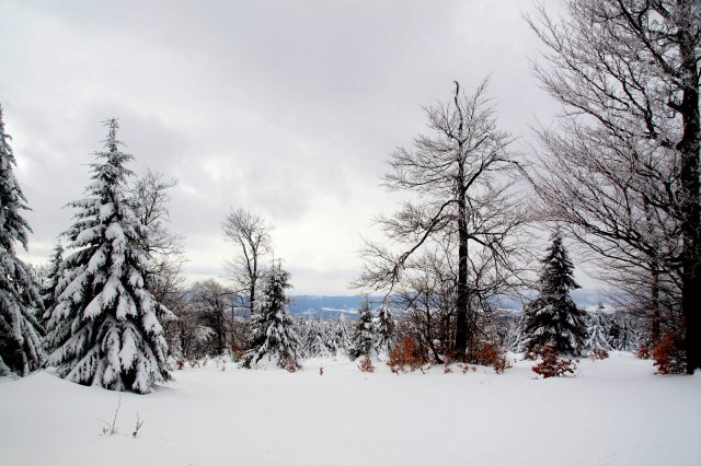 Piękna zima w Górach Sowich w obiektywie Jana Wilka