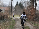 Bieg „Tropem Wilczym” w Niemczy