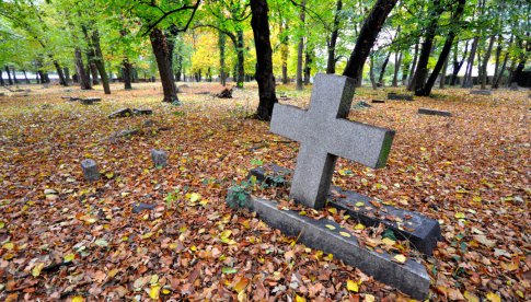 Dzierżoniów: porządkowanie cmentarza ewangelickiego - pomóż!