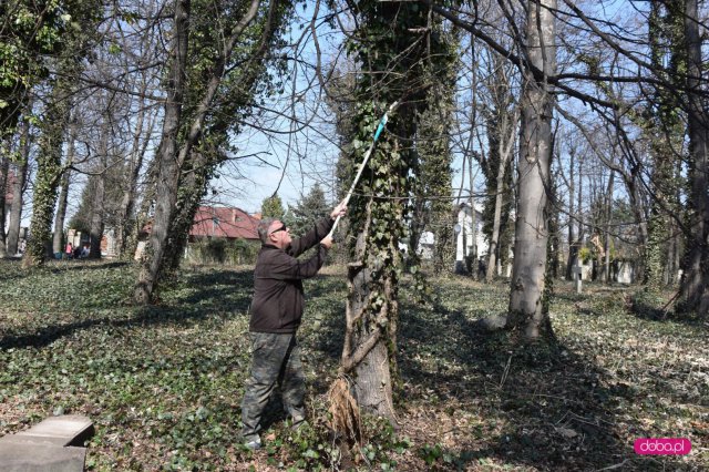 Sprzątanie cmentarza ewangelickiego w Dzierżoniowie