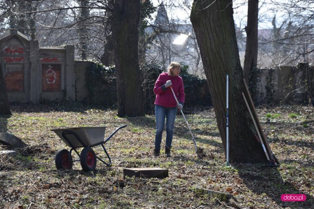Sprzątanie cmentarza ewangelickiego w Dzierżoniowie