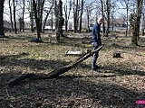 Sprzątanie cmentarza ewangelickiego w Dzierżoniowie