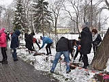 Lilakowa Aleja Przedsiębiorców w Dzierżoniowie