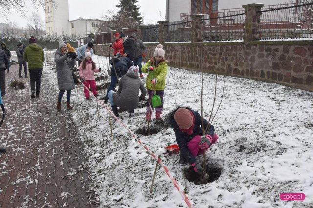 Lilakowa Aleja Przedsiębiorców w Dzierżoniowie