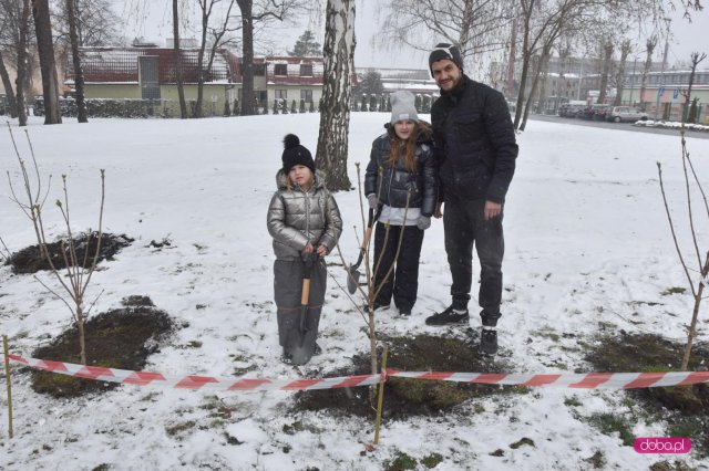 Lilakowa Aleja Przedsiębiorców w Dzierżoniowie