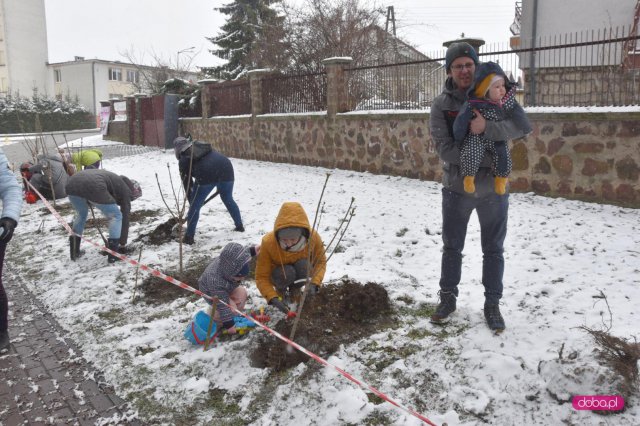 Lilakowa Aleja Przedsiębiorców w Dzierżoniowie