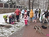 Lilakowa Aleja Przedsiębiorców w Dzierżoniowie