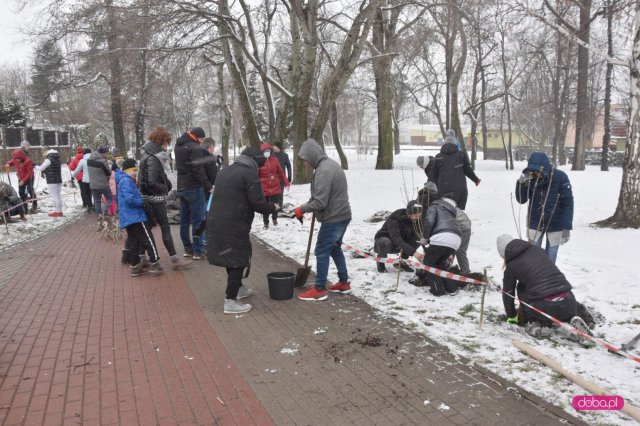 Lilakowa Aleja Przedsiębiorców w Dzierżoniowie