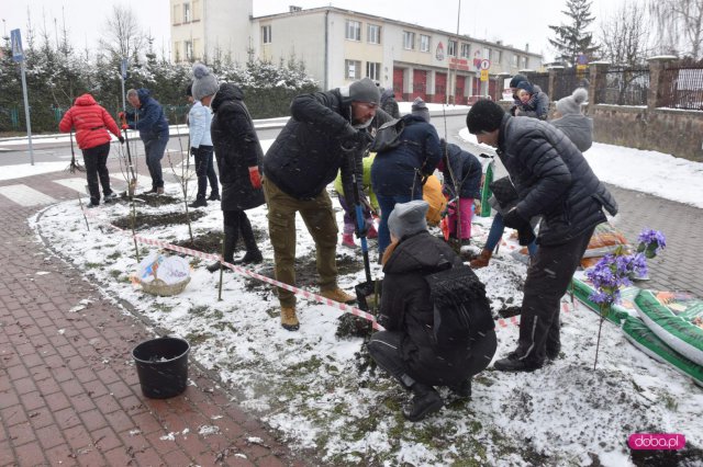 Lilakowa Aleja Przedsiębiorców w Dzierżoniowie
