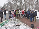 Lilakowa Aleja Przedsiębiorców w Dzierżoniowie