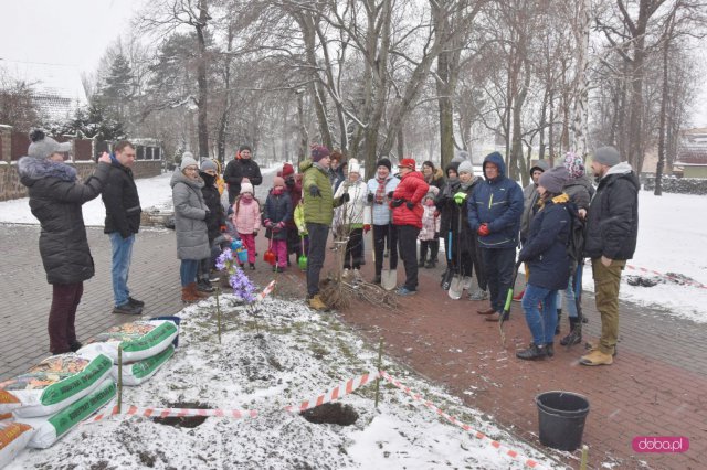 Lilakowa Aleja Przedsiębiorców w Dzierżoniowie