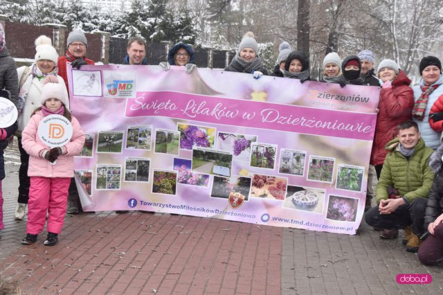 Lilakowa Aleja Przedsiębiorców w Dzierżoniowie
