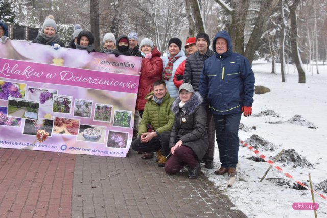 Lilakowa Aleja Przedsiębiorców w Dzierżoniowie