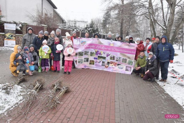 Lilakowa Aleja Przedsiębiorców w Dzierżoniowie