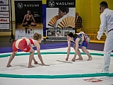 Świetny występ zawodników IRON BULLS Bielawa w Mistrzostwach Polski Juniorów w Sumo