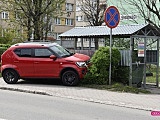 Wjechał w żywopłot i boks śmietnikowy