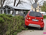 Wjechał w żywopłot i boks śmietnikowy